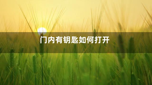 门内有钥匙如何打开