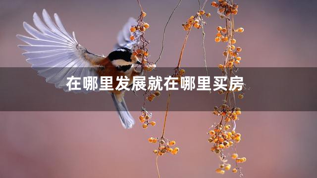 在哪里发展就在哪里买房