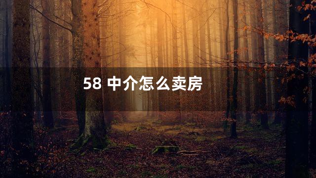 58 中介怎么卖房