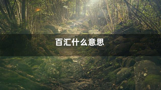 百汇什么意思