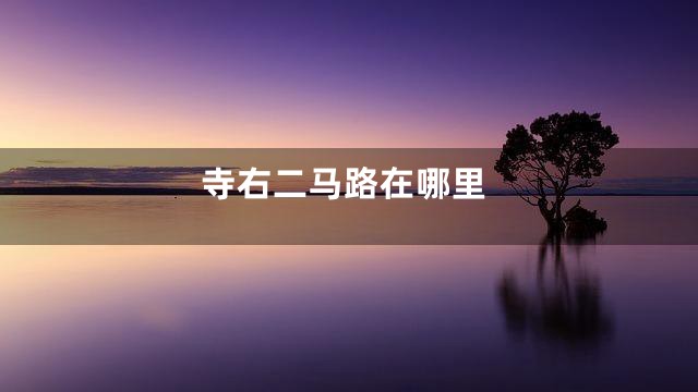 寺右二马路在哪里