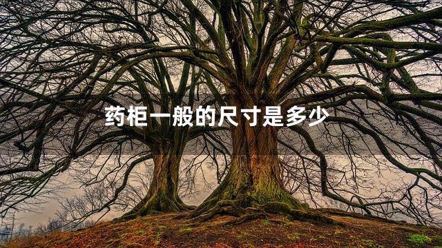 药柜一般的尺寸是多少