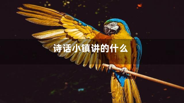 诗话小镇讲的什么