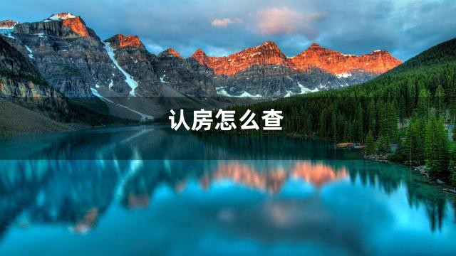 认房怎么查