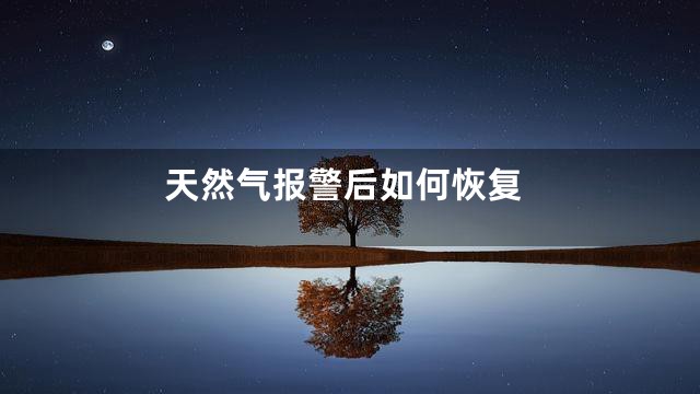 天然气报警后如何恢复