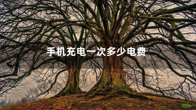 手机充电一次多少电费