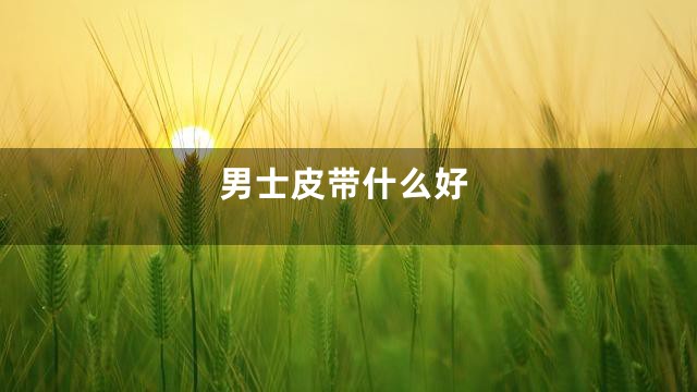 男士皮带什么好