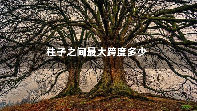 柱子之间最大跨度多少