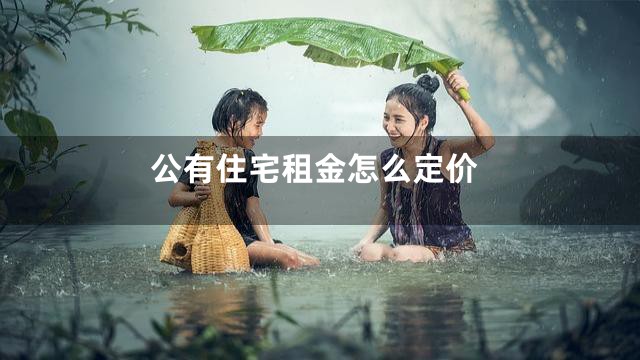 公有住宅租金怎么定价