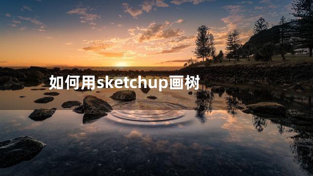 如何用sketchup画树