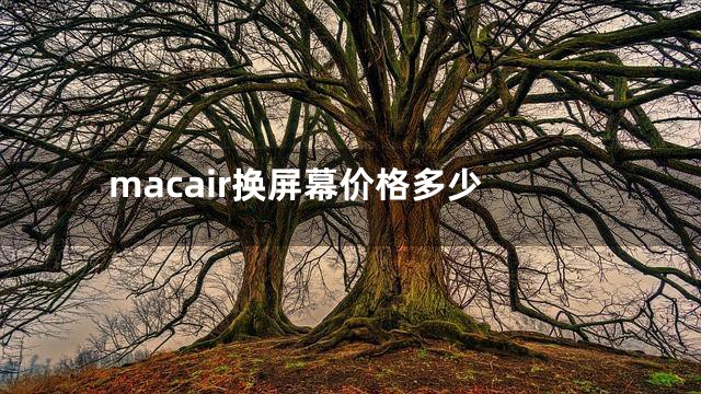 macair换屏幕价格多少