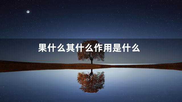 果什么其什么作用是什么