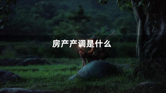 房产产调是什么