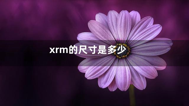 xrm的尺寸是多少