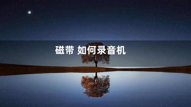 磁带 如何录音机