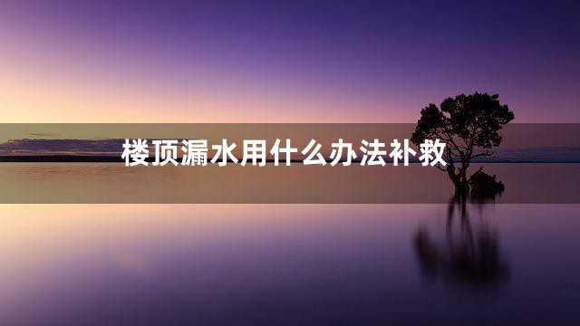 楼顶漏水用什么办法补救