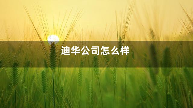 迪华公司怎么样