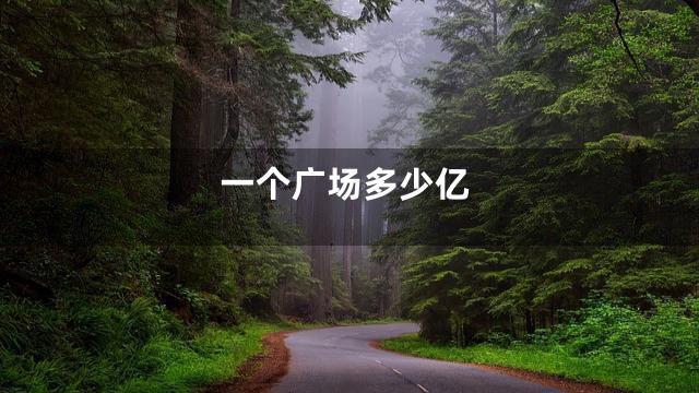 一个广场多少亿