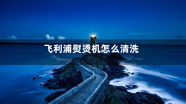 飞利浦熨烫机怎么清洗