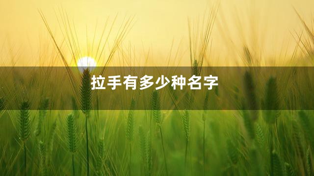 拉手有多少种名字