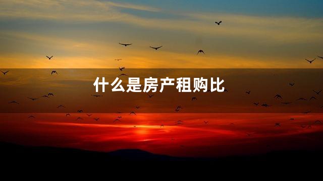 什么是房产租购比