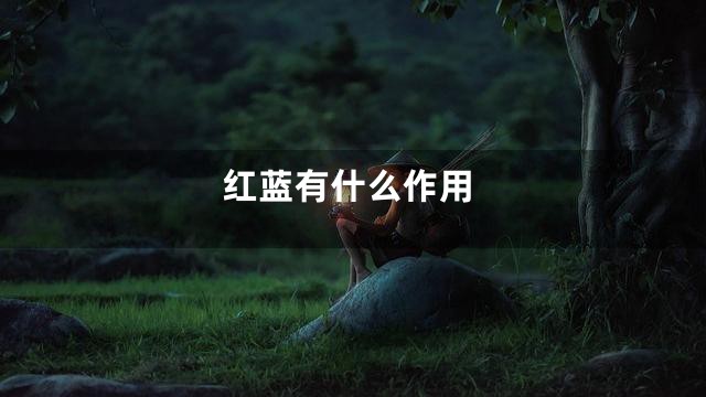 红蓝有什么作用