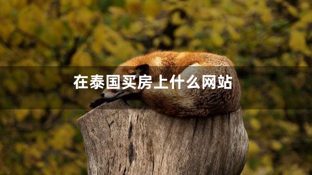 在泰国买房上什么网站