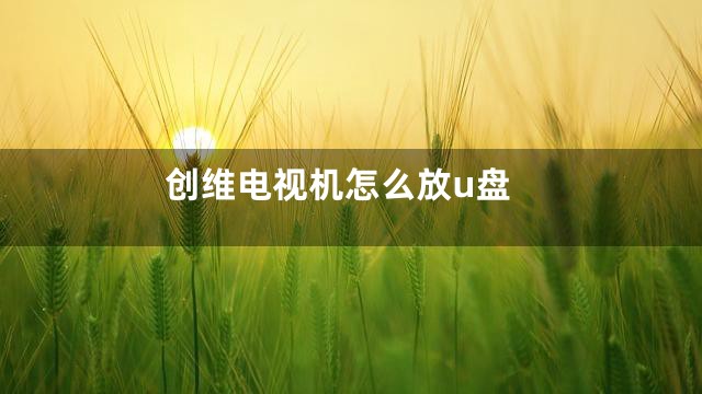 创维电视机怎么放u盘