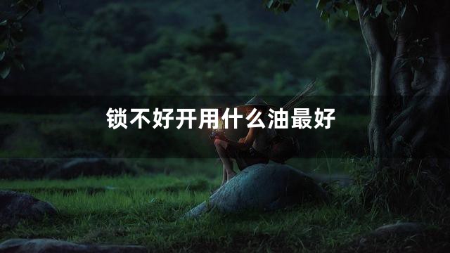锁不好开用什么油最好