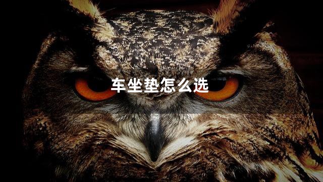 车坐垫怎么选