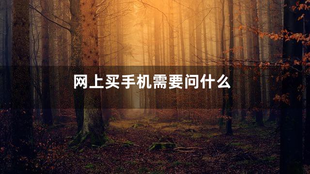 网上买手机需要问什么