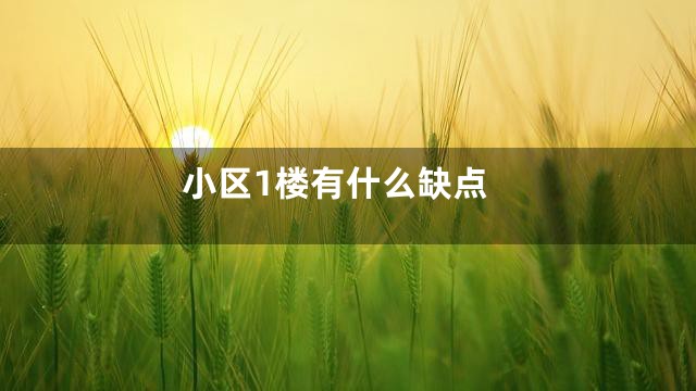小区1楼有什么缺点