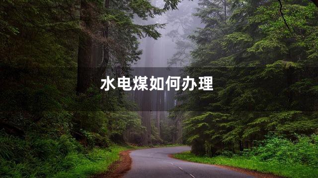 水电煤如何办理