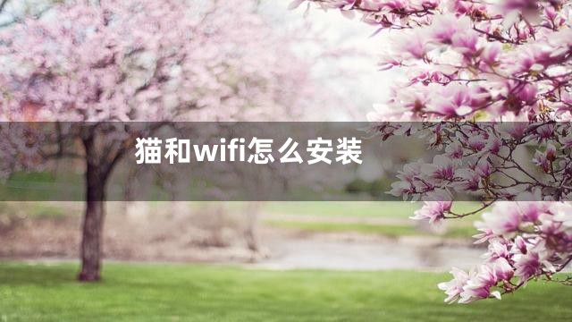 猫和wifi怎么安装