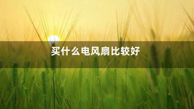 买什么电风扇比较好