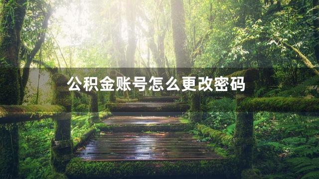 公积金账号怎么更改密码