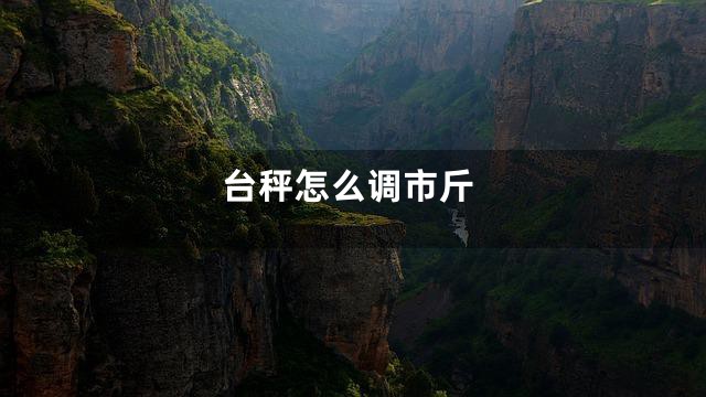 台秤怎么调市斤