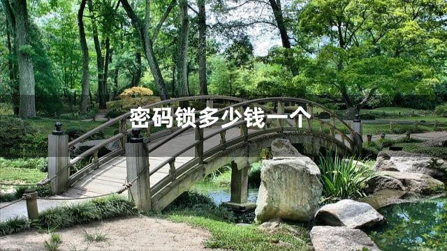 密码锁多少钱一个