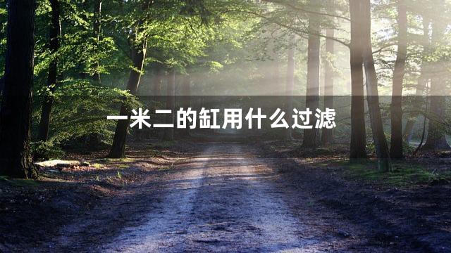 一米二的缸用什么过滤