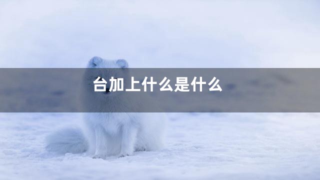 台加上什么是什么