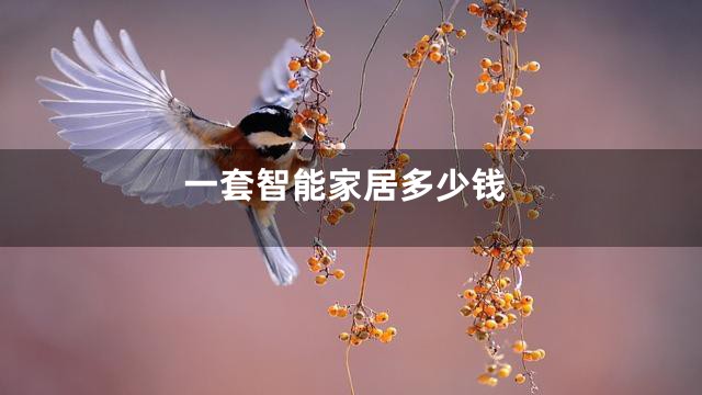 一套智能家居多少钱
