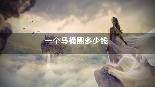 一个马桶圈多少钱