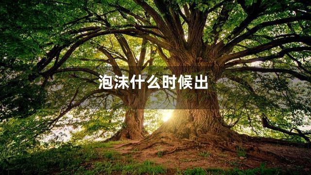 泡沫什么时候出