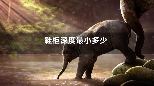 鞋柜深度最小多少