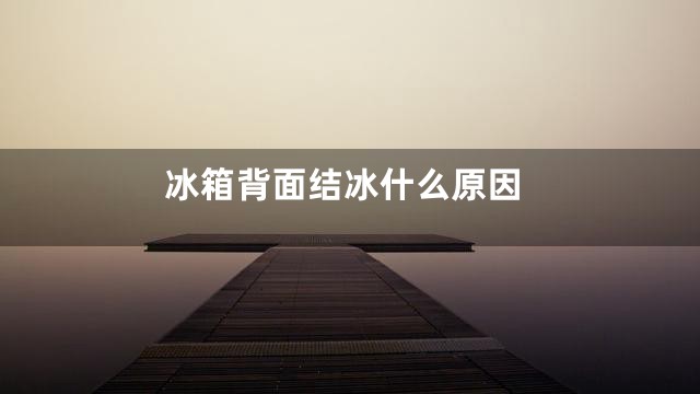 冰箱背面结冰什么原因
