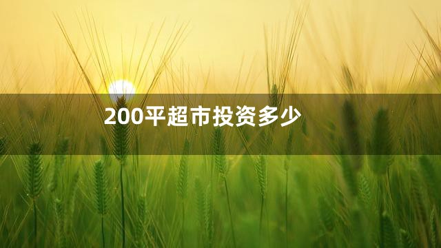 200平超市投资多少