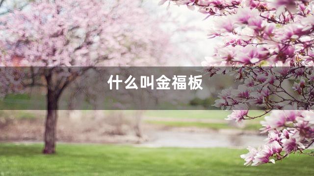 什么叫金福板