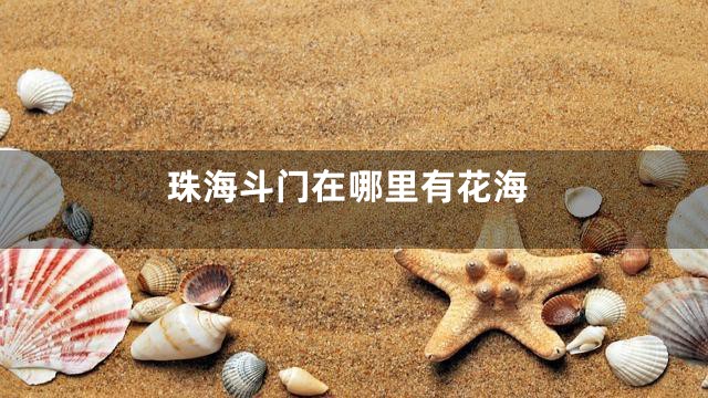 珠海斗门在哪里有花海