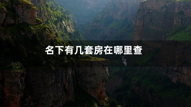 名下有几套房在哪里查