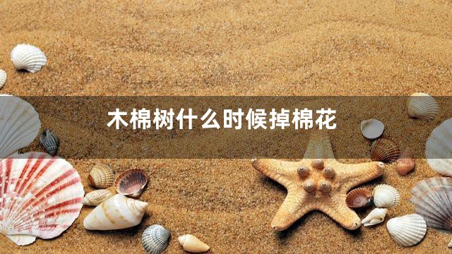 木棉树什么时候掉棉花